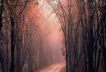 华体会：[德甲]科芒反击横传 凯恩远射破门梅开二度.