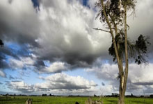 奇景!亲兄弟互相助攻 黑色贝尔X2 国家队却各为其主.