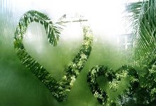 首轮对阵：山猫第7锁定热火篮网降至第6遇猛龙.