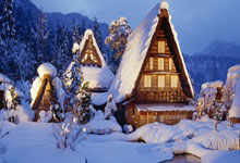 意甲：博洛尼亚以1比0 击退菲奥伦蒂那.