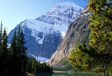 不敌铁锤帮深陷降级区 狐狸主帅范尼或失帅位.