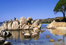 匡琦带队艰难杀进全运会正赛！北京女排队长金烨官宣姐弟恋.